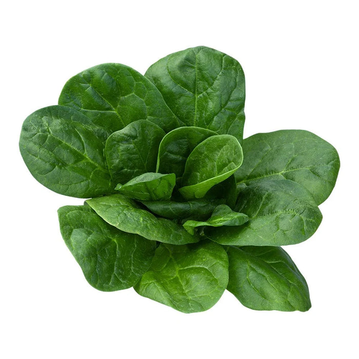 Metilfolato
